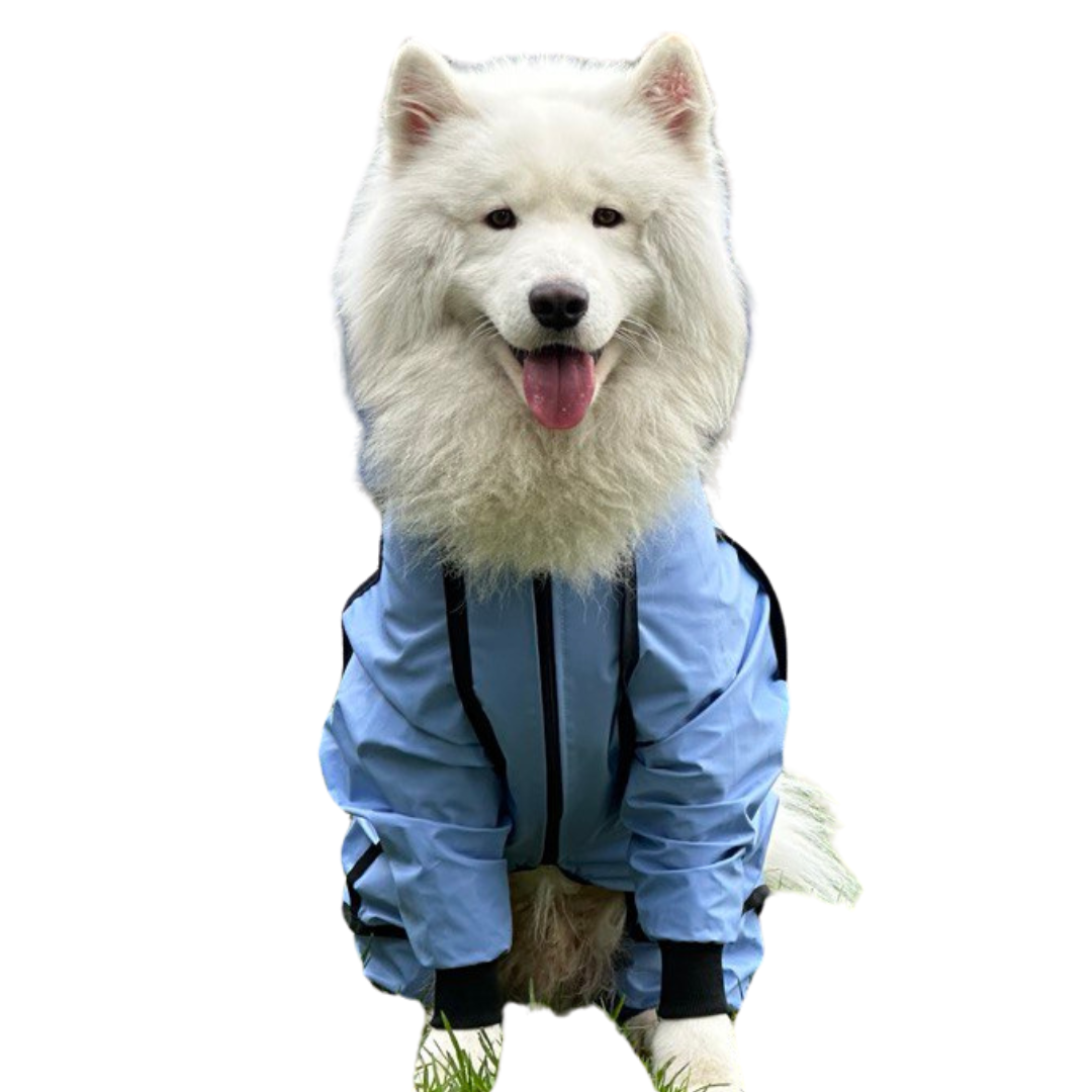 IMPERMEABLES PARA PERROS