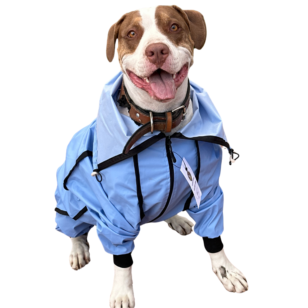 IMPERMEABLES PARA PERROS