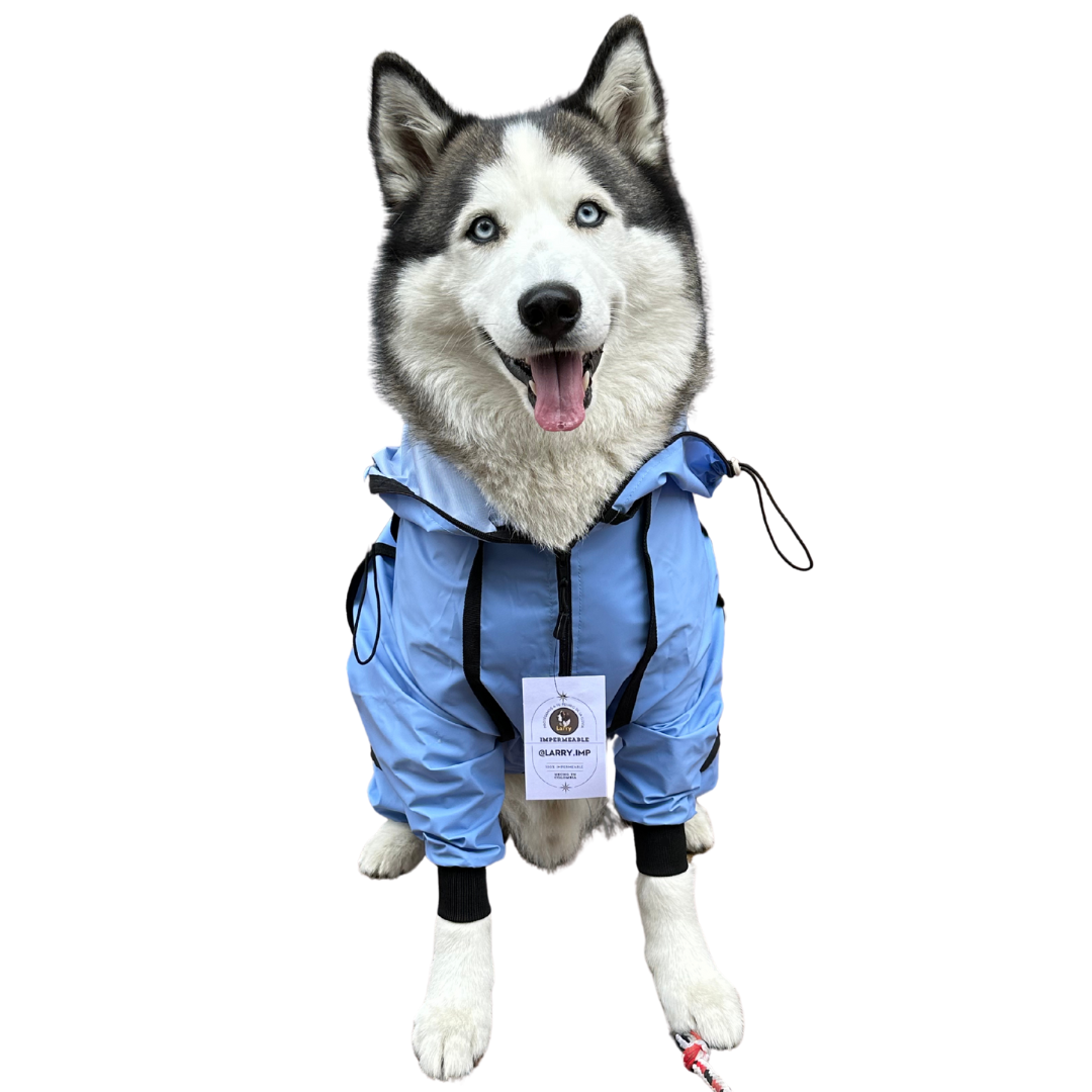 IMPERMEABLES PARA PERROS
