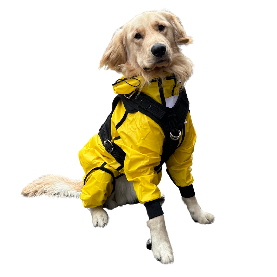 IMPERMEABLES PARA PERROS