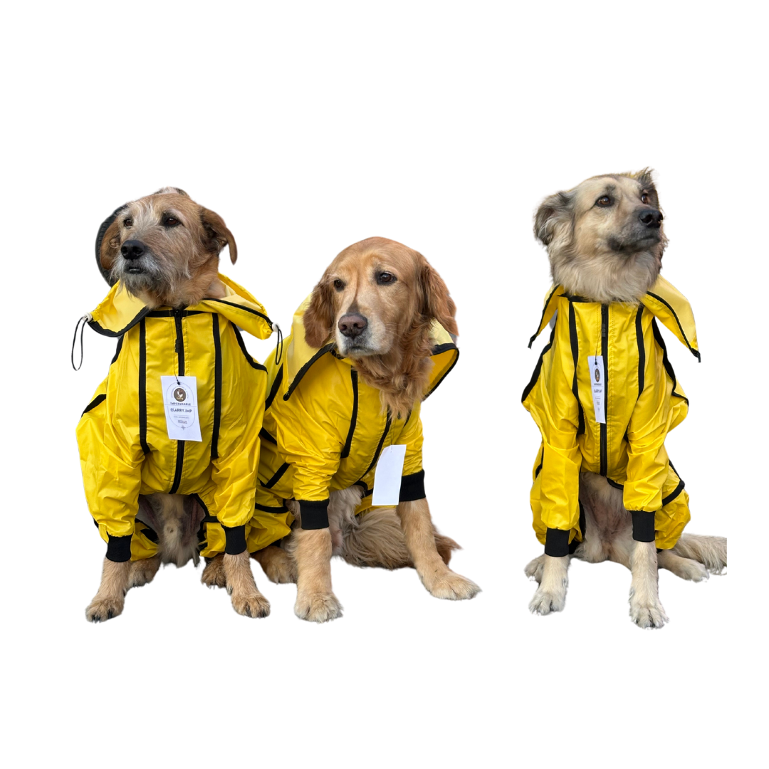 IMPERMEABLES PARA PERROS