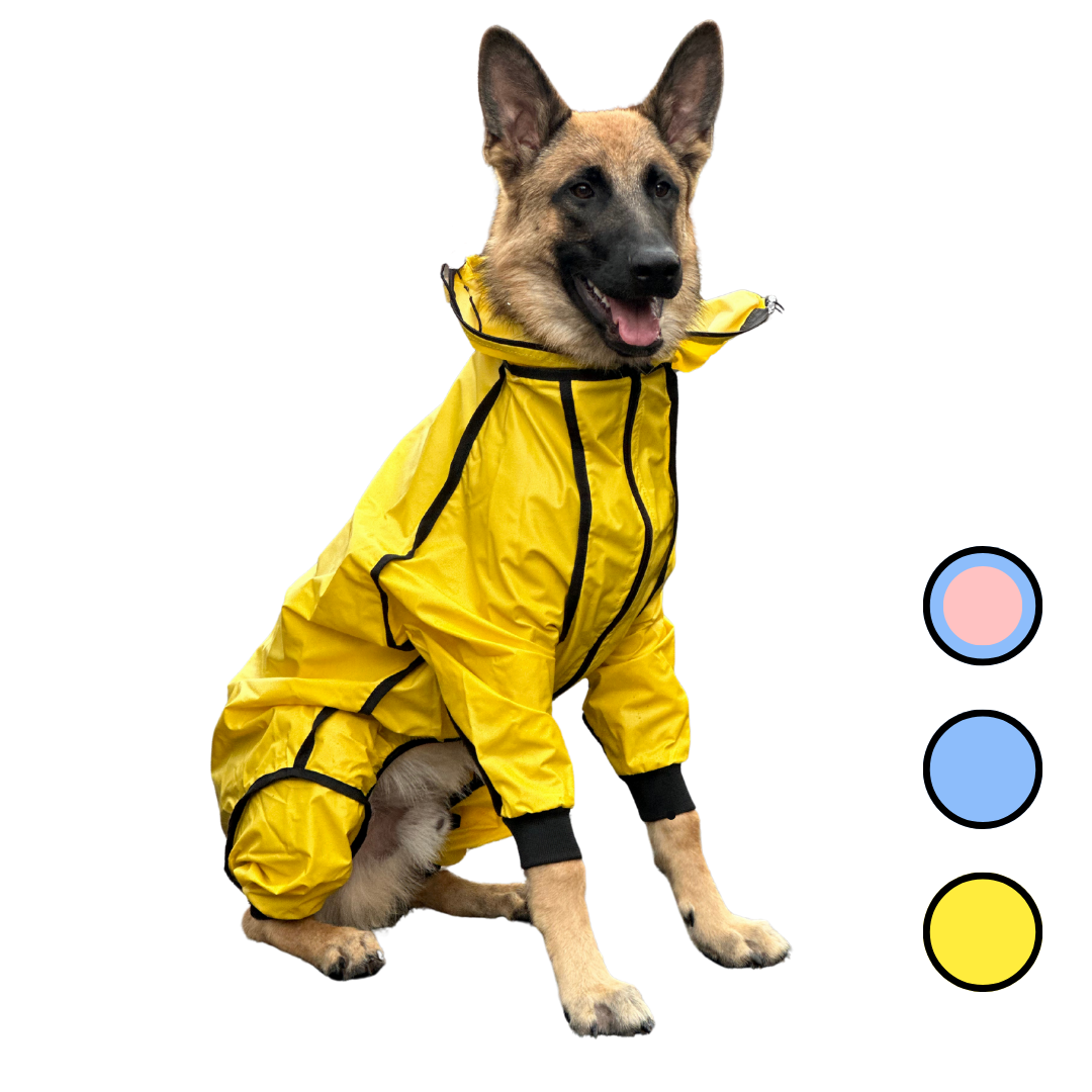 IMPERMEABLES PARA PERROS