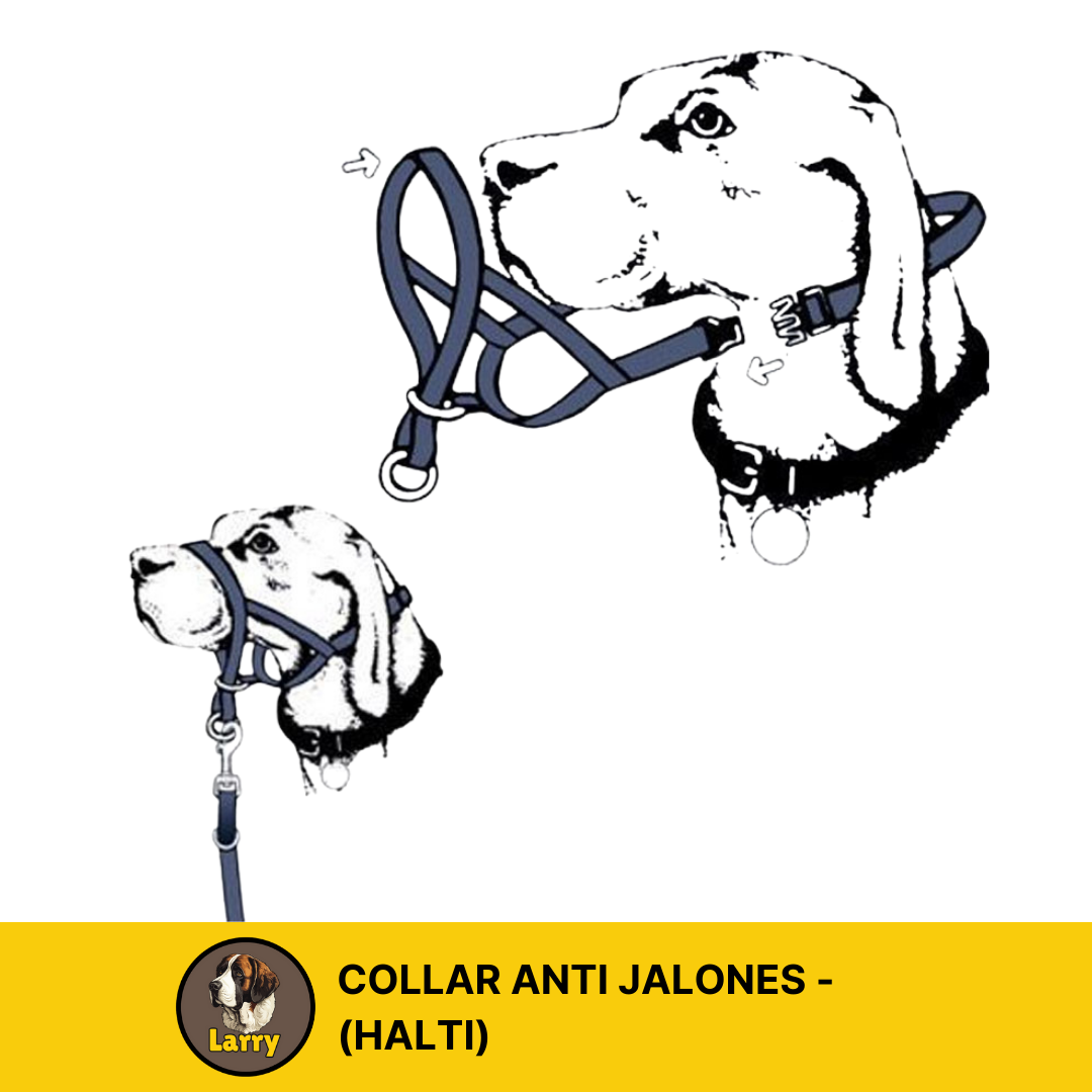 Collar Bozal De Entrenamiento Halti