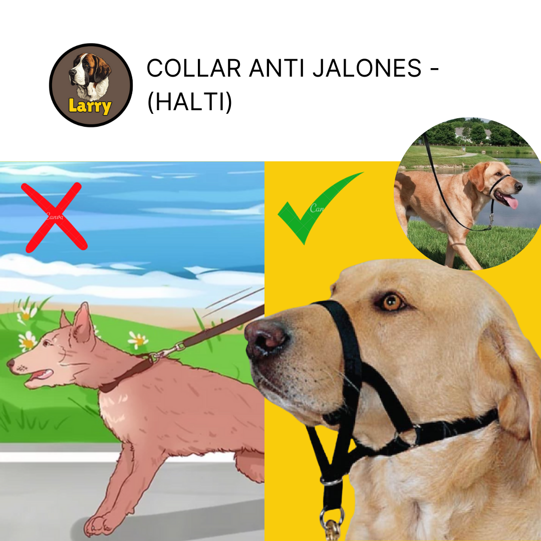 Collar Bozal De Entrenamiento Halti