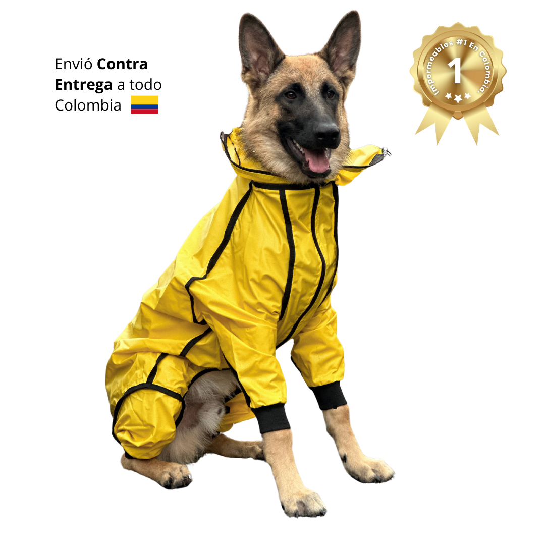 IMPERMEABLES PARA PERROS