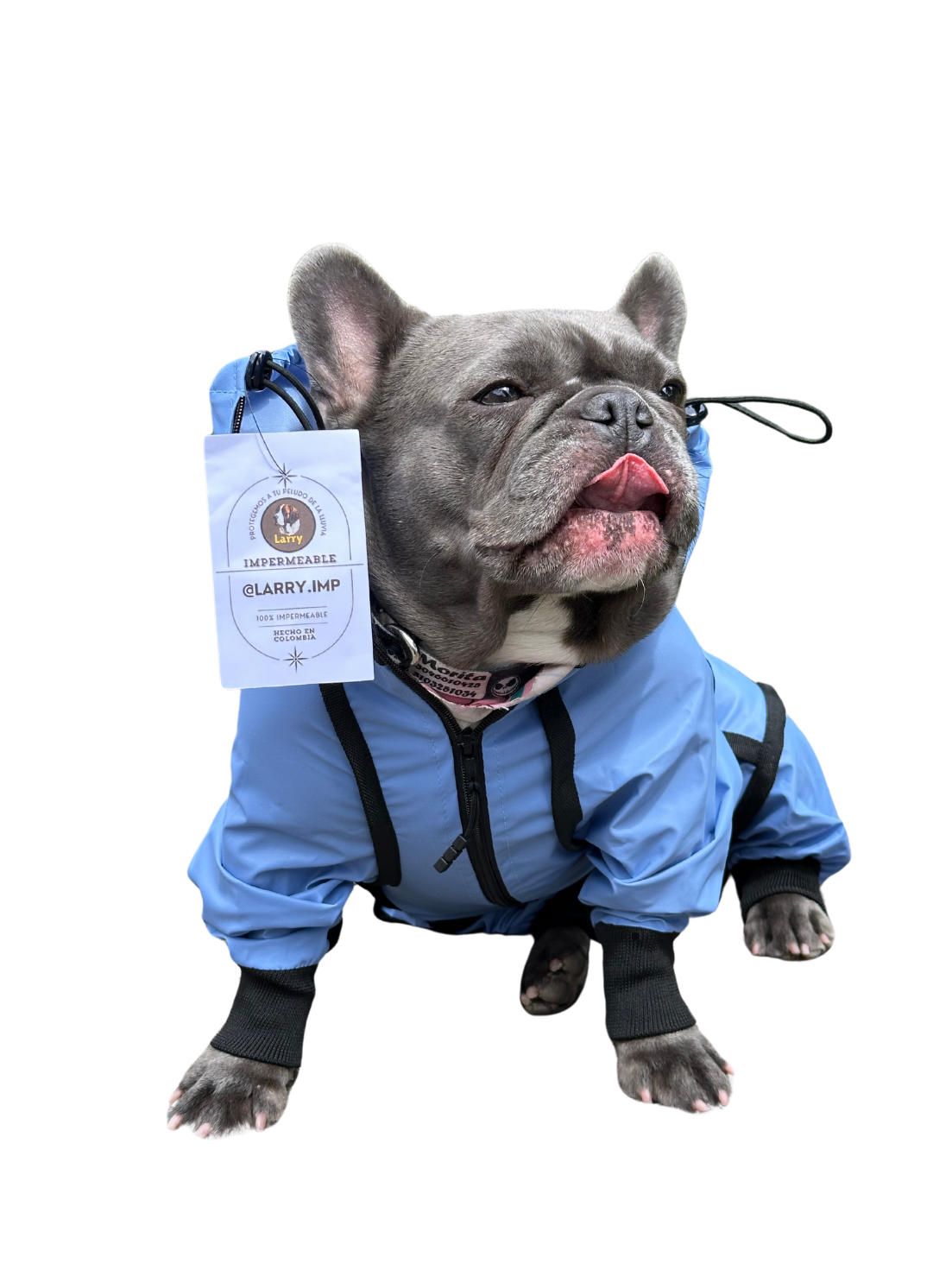 IMPERMEABLES PARA PERROS