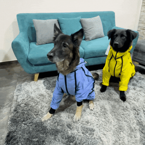 IMPERMEABLES PARA PERROS