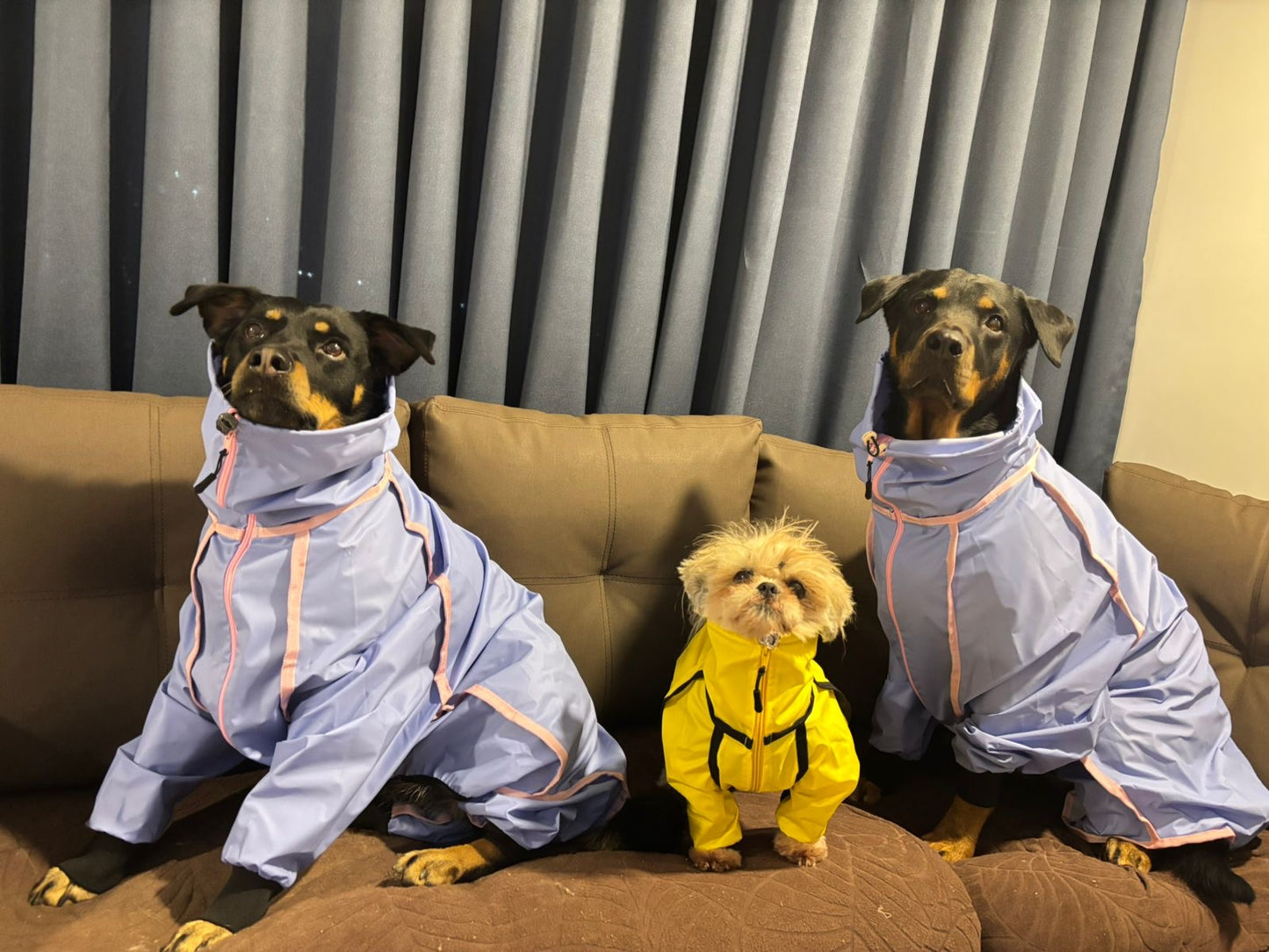 IMPERMEABLES PARA PERROS