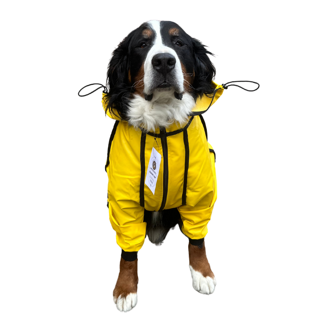 IMPERMEABLES PARA PERROS