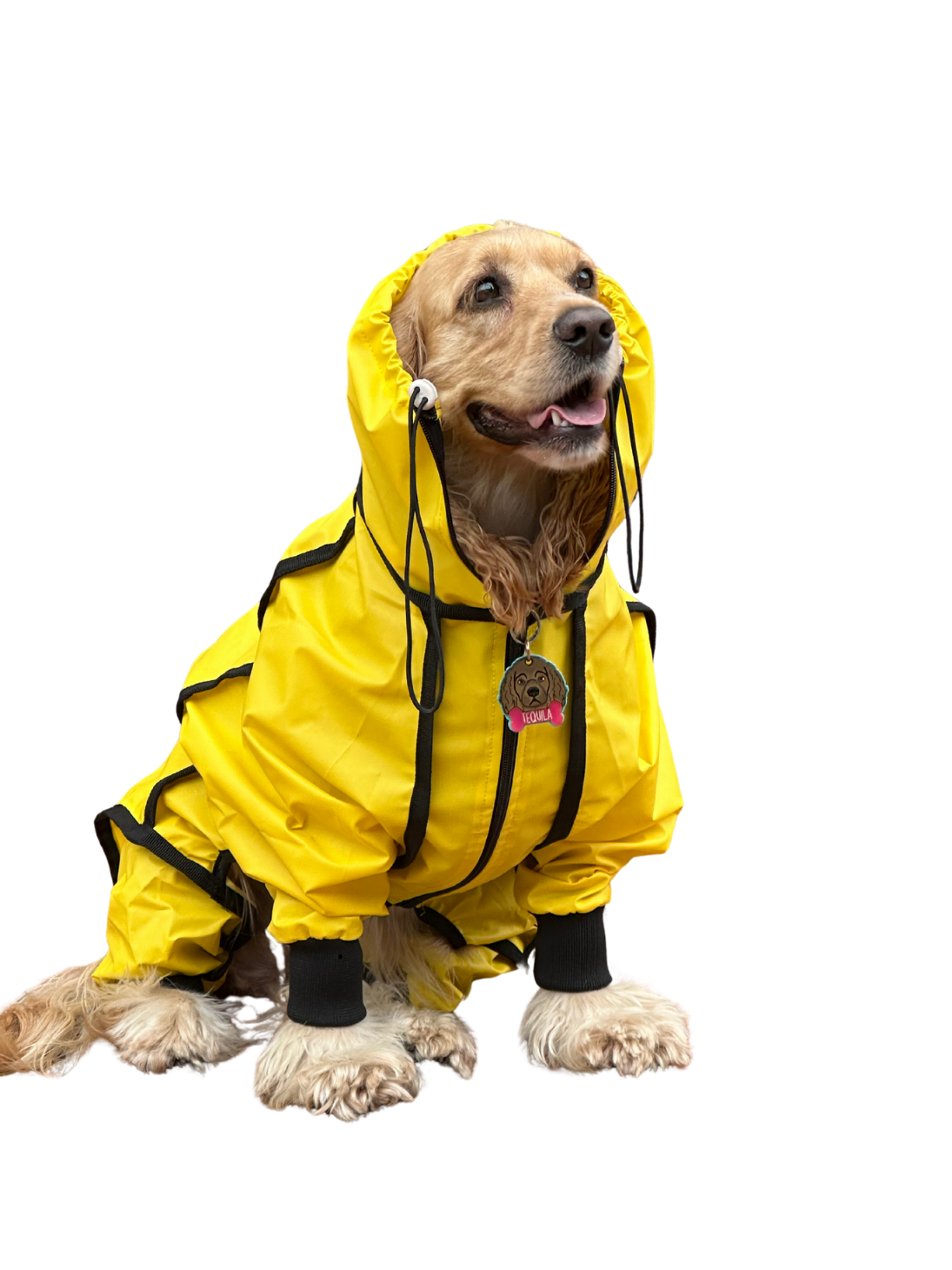 IMPERMEABLES PARA PERROS