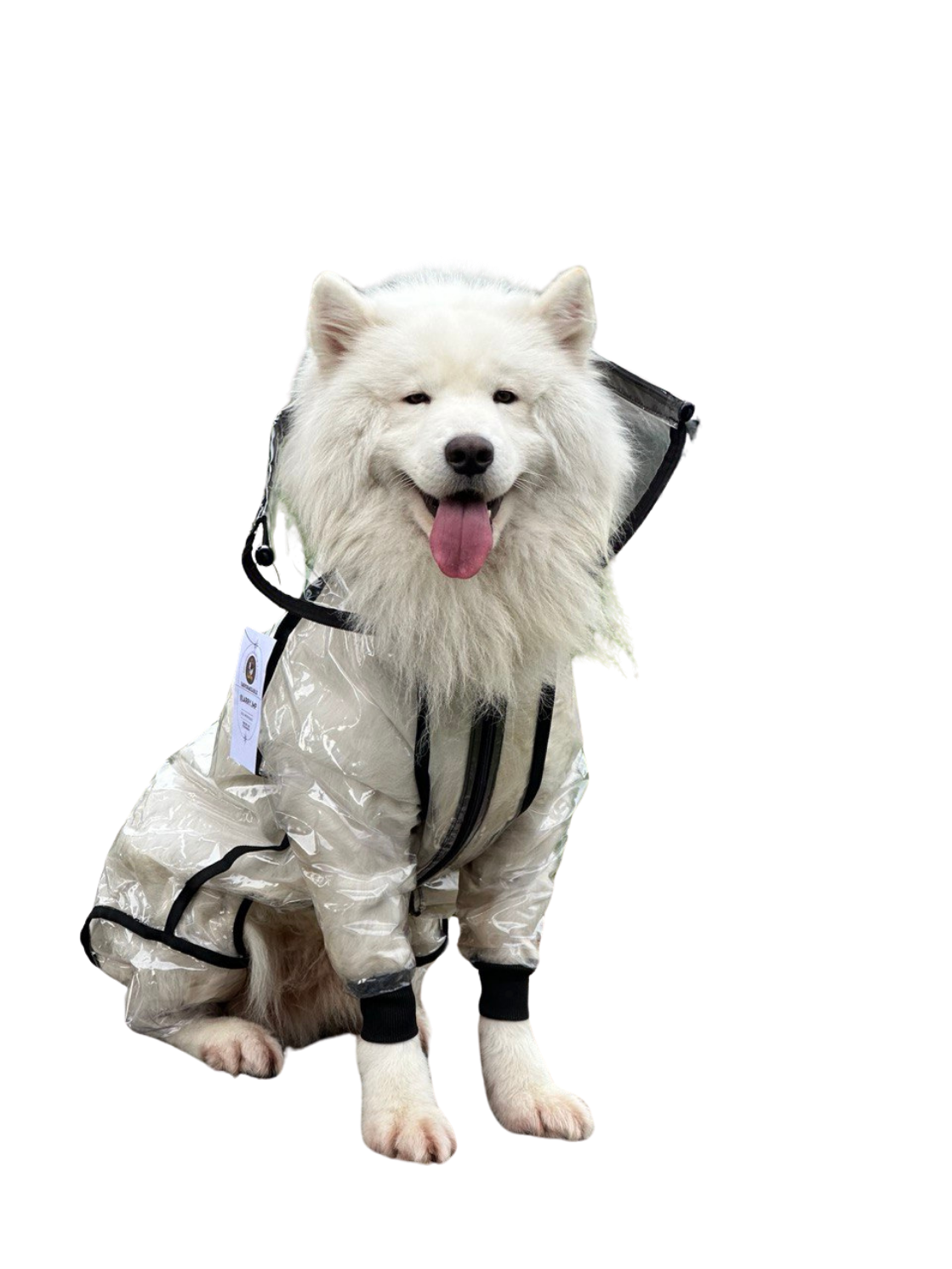 IMPERMEABLES PARA PERROS