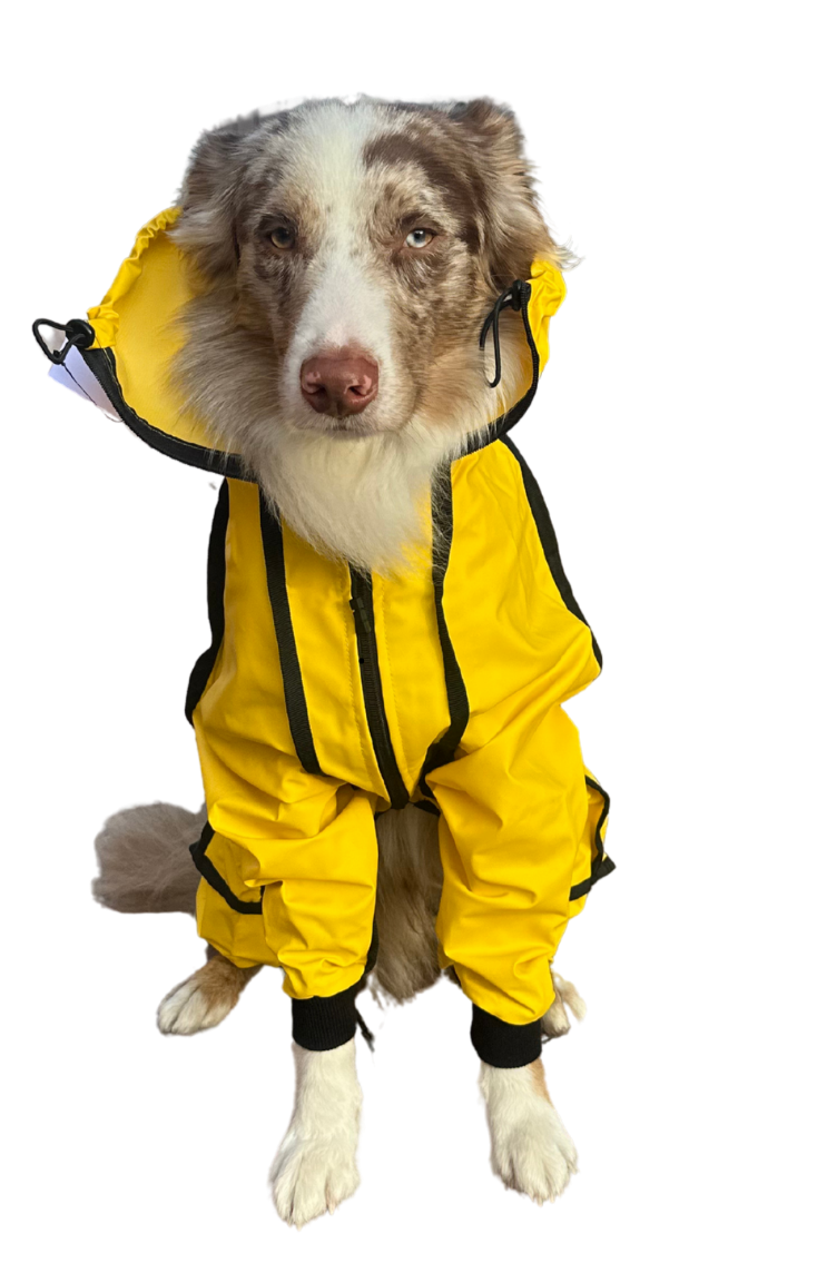 IMPERMEABLES PARA PERROS