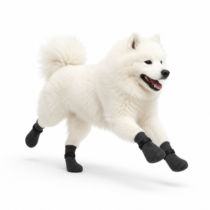 BOTAS PARA PERROS PROTECCIÓN CONTRA LLUVIA Y PAVIMENTO CALIENTE 🐶🔥💧