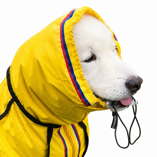 IMPERMEABLE SELECCIÓN COLOMBIA