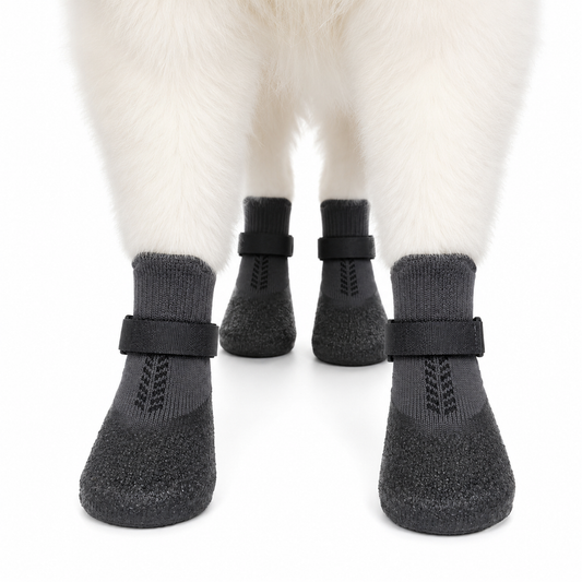 BOTAS PARA PERROS PROTECCIÓN CONTRA LLUVIA Y PAVIMENTO CALIENTE 🐶🔥💧