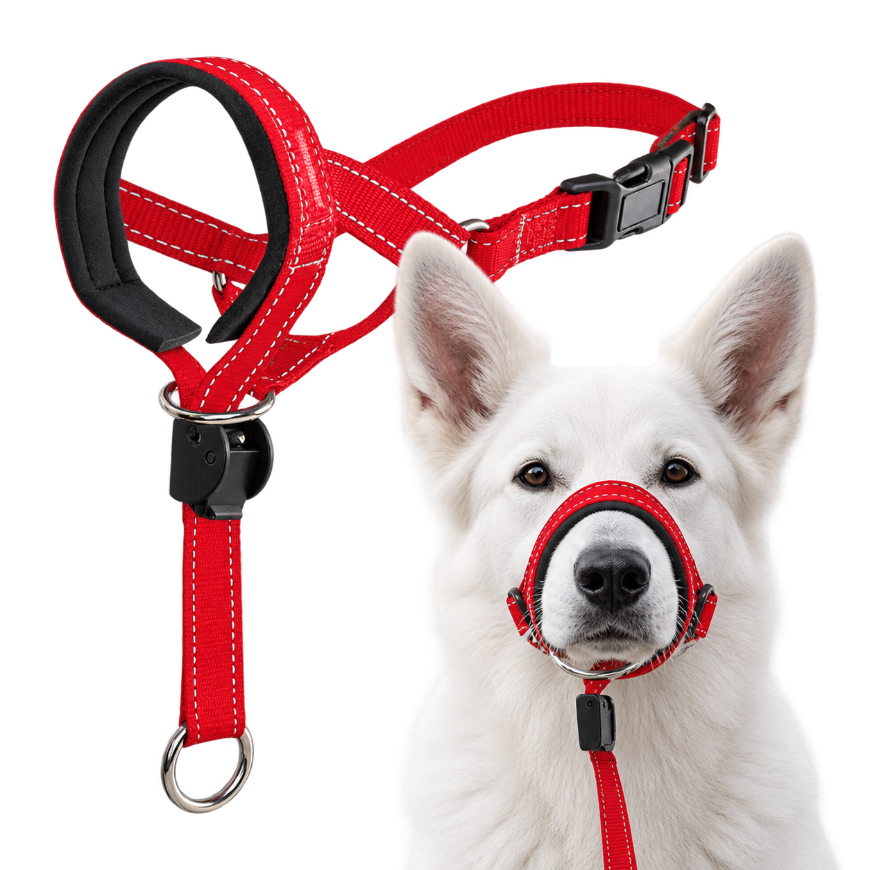 Collar de Entrenamiento Halti para Perros | Mayor Control en Cada Paseo
