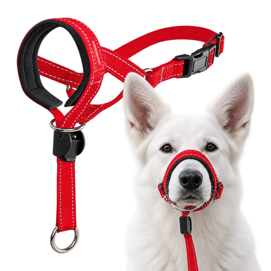 Collar de Entrenamiento Halti para Perros | Mayor Control en Cada Paseo