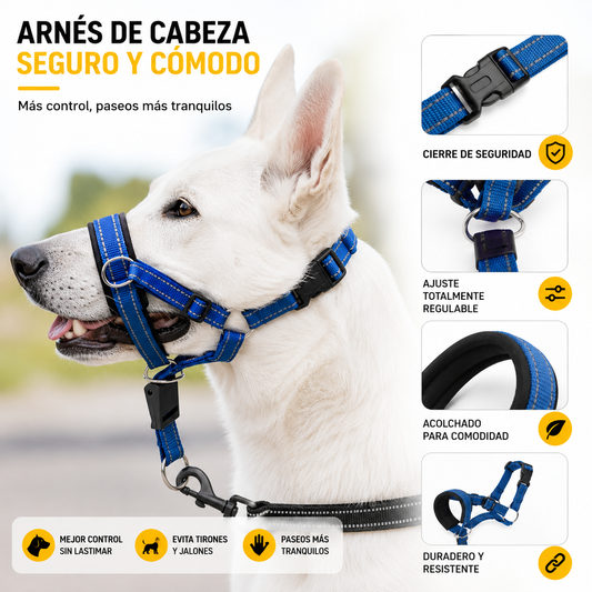 Collar de Entrenamiento Halti para Perros | Mayor Control en Cada Paseo