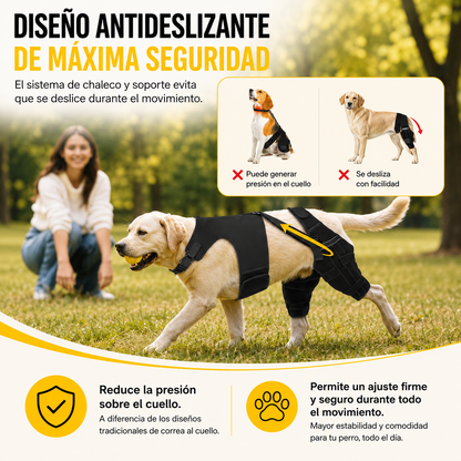 oporte para Patas Traseras de Perros | Ayuda a Recuperar la Movilidad y Alivia el Dolor por ACL, CCL, Artritis y Displasia de Cadera