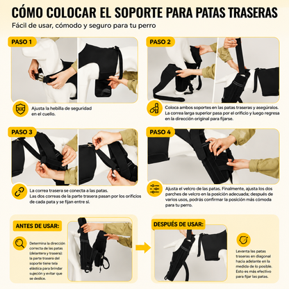 oporte para Patas Traseras de Perros | Ayuda a Recuperar la Movilidad y Alivia el Dolor por ACL, CCL, Artritis y Displasia de Cadera