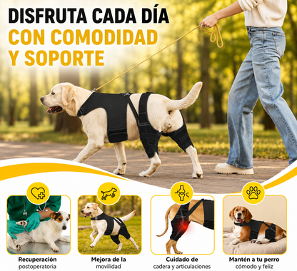 oporte para Patas Traseras de Perros | Ayuda a Recuperar la Movilidad y Alivia el Dolor por ACL, CCL, Artritis y Displasia de Cadera