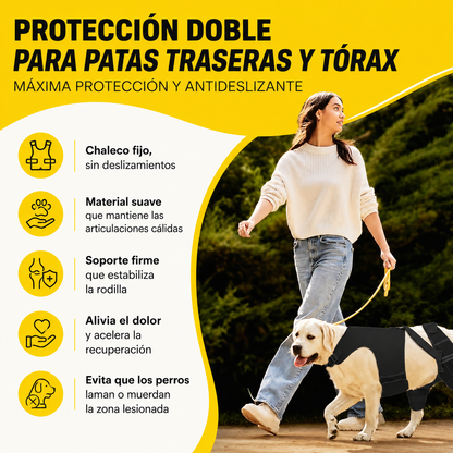 oporte para Patas Traseras de Perros | Ayuda a Recuperar la Movilidad y Alivia el Dolor por ACL, CCL, Artritis y Displasia de Cadera