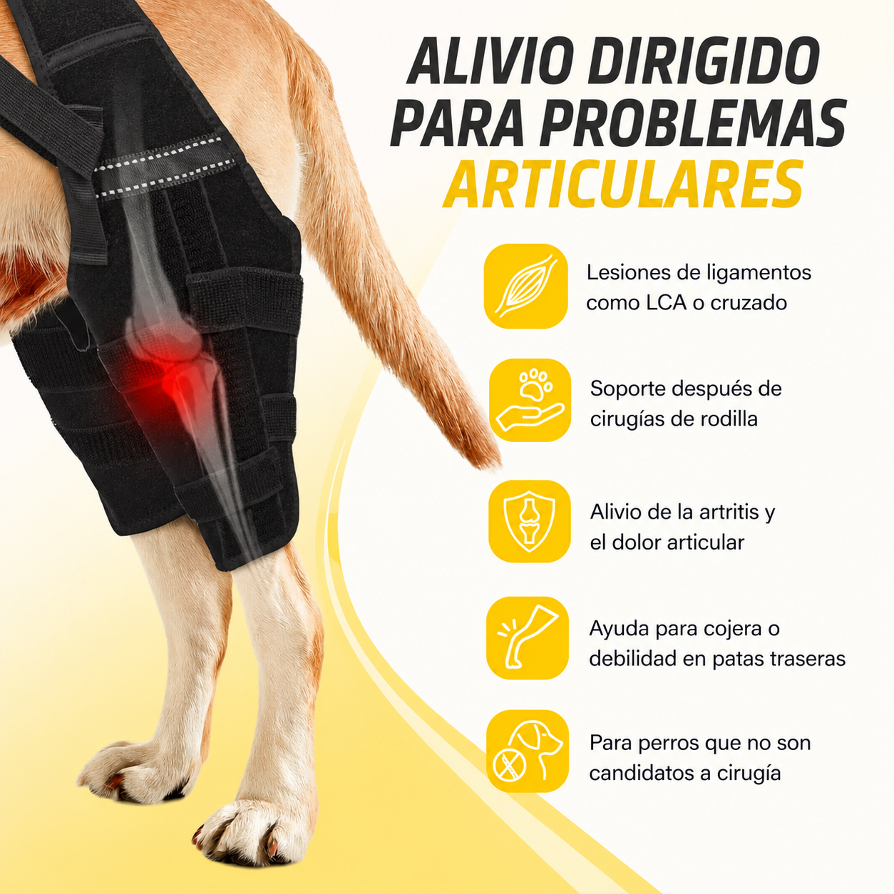 oporte para Patas Traseras de Perros | Ayuda a Recuperar la Movilidad y Alivia el Dolor por ACL, CCL, Artritis y Displasia de Cadera