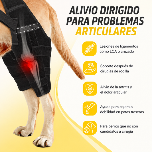 Soporte para Patas Traseras de Perros | Ayuda a Recuperar la Movilidad y Alivia el Dolor por ACL, CCL, Artritis y Displasia de Cadera