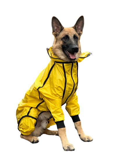 IMPERMEABLES PARA PERROS