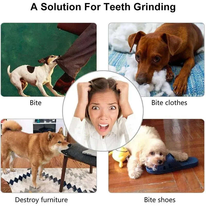 Juguete Mordedor para Perros Súper Resistente | Diversión y Cuidado Dental