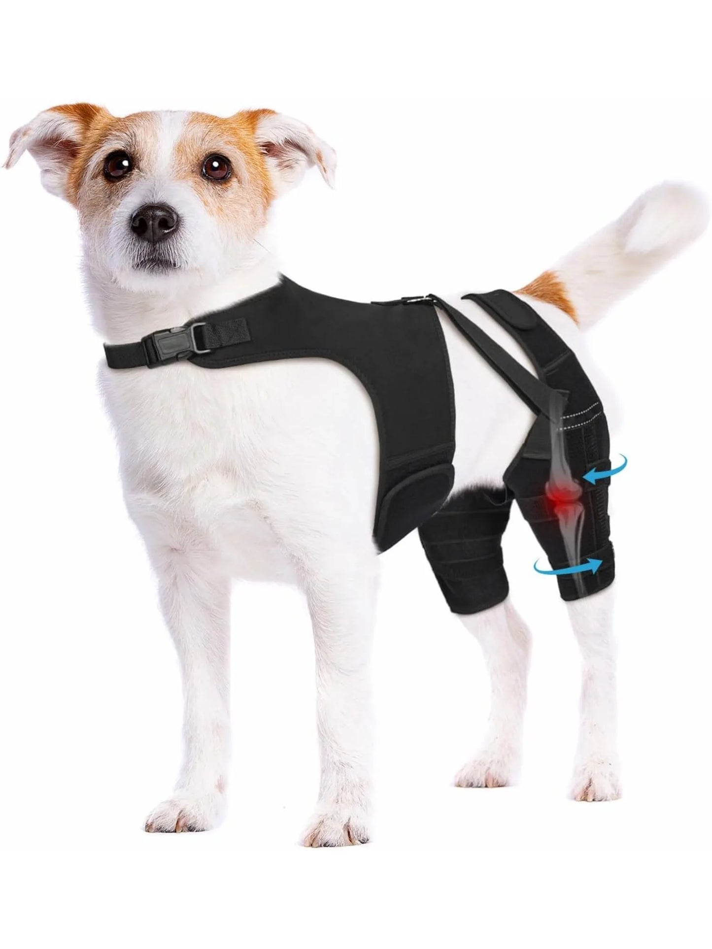 oporte para Patas Traseras de Perros | Ayuda a Recuperar la Movilidad y Alivia el Dolor por ACL, CCL, Artritis y Displasia de Cadera