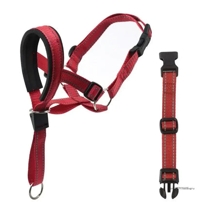 Collar de Entrenamiento Halti para Perros | Mayor Control en Cada Paseo