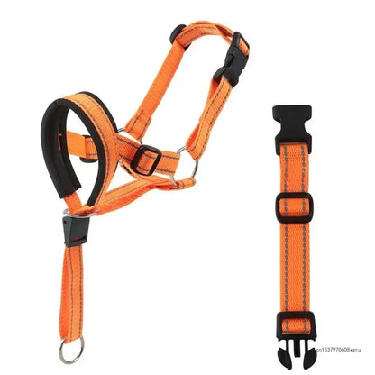 Collar de Entrenamiento Halti para Perros | Mayor Control en Cada Paseo