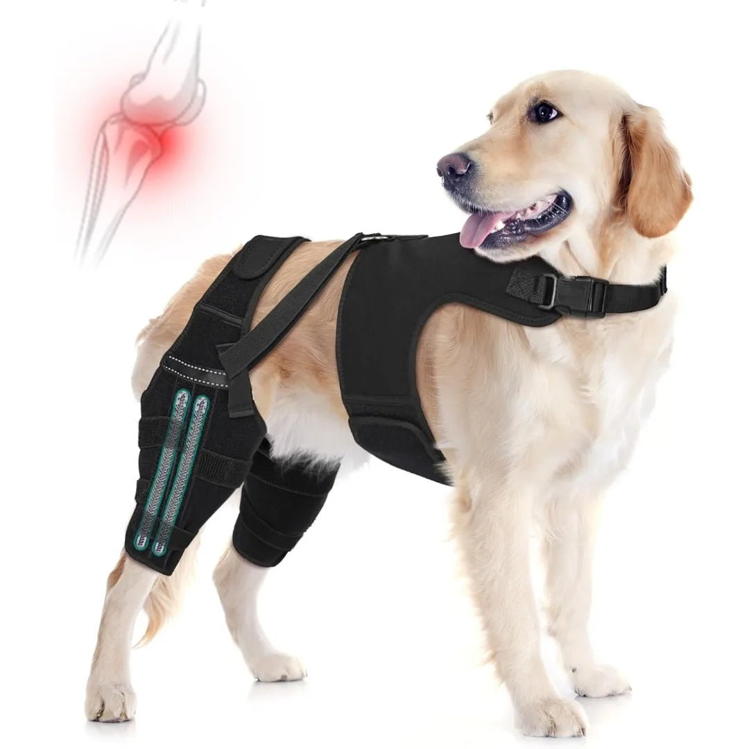 oporte para Patas Traseras de Perros | Ayuda a Recuperar la Movilidad y Alivia el Dolor por ACL, CCL, Artritis y Displasia de Cadera