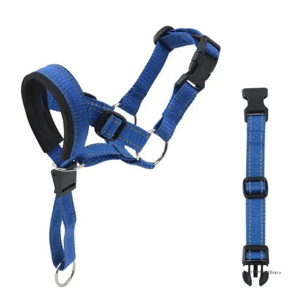 Collar de Entrenamiento Halti para Perros | Mayor Control en Cada Paseo