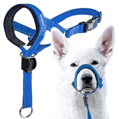 Collar de Entrenamiento Halti para Perros | Mayor Control en Cada Paseo