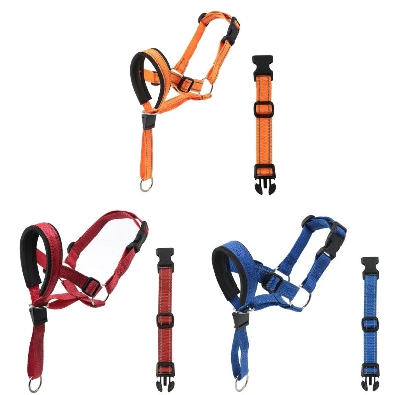 Collar de Entrenamiento Halti para Perros | Mayor Control en Cada Paseo