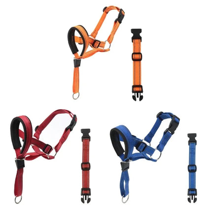 Collar de Entrenamiento Halti para Perros | Mayor Control en Cada Paseo