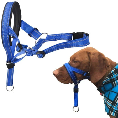 Collar de Entrenamiento Halti para Perros | Mayor Control en Cada Paseo