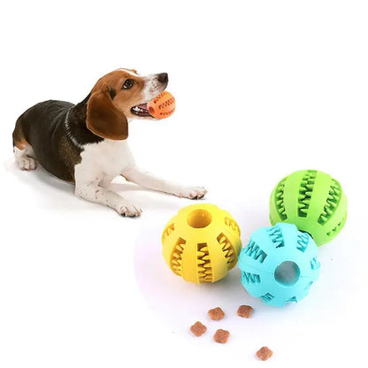 Juguete Mordedor para Perros Súper Resistente | Diversión y Cuidado Dental