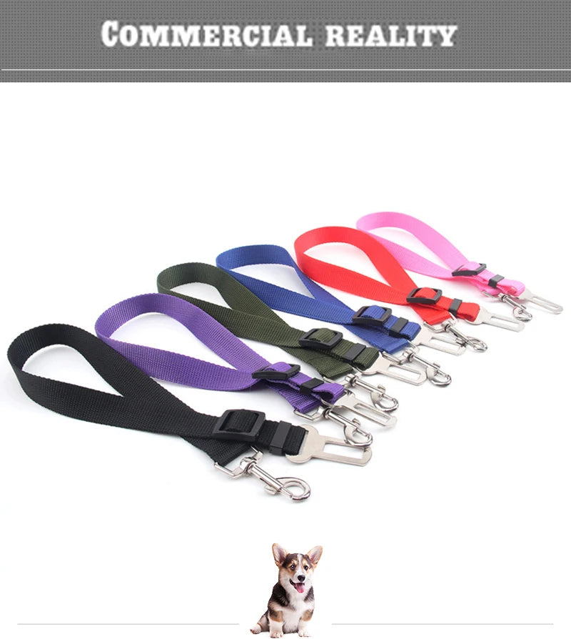 Cinturón de Seguridad Ajustable para Perros | Viaja Seguro y Sin Distracciones 🐶🚗