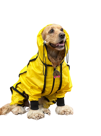 IMPERMEABLES PARA PERROS