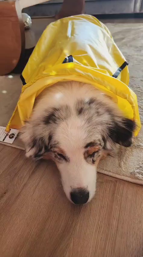 Cargar video: Nos encantó este impermeable 😍. De verdad es muy bueno, se nota la calidad desde que lo sacas del empaque.Mi perrito se siente súper cómodo, corre, juega y no se moja nada ☔💛.Además, la tela es ligera, no le incomoda para nada y le queda perfecto.Yo estoy feliz con la compra, y mi mamá también quedó encantada 🥰 — hasta me dijo que ojalá todos los perritos tuvieran uno así, porque de verdad vale la pena.¡Súper recomendado! 🐾💧