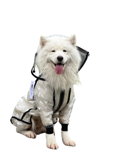 IMPERMEABLES PARA PERROS