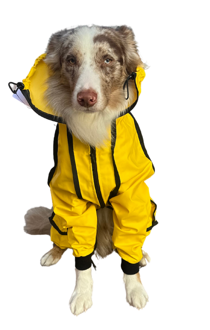 IMPERMEABLES PARA PERROS